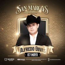 Alfredo Olivas live.