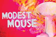 Modest Mouse live.