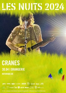 Cranes live