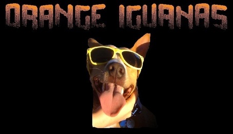 Orange Iguanas — Gamers Paradise, 2011-04-24