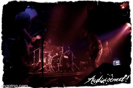The Night Terrors — Archiv, 2010-11-11