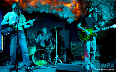 The Strays — Dan's Silverleaf, 2020-03-28