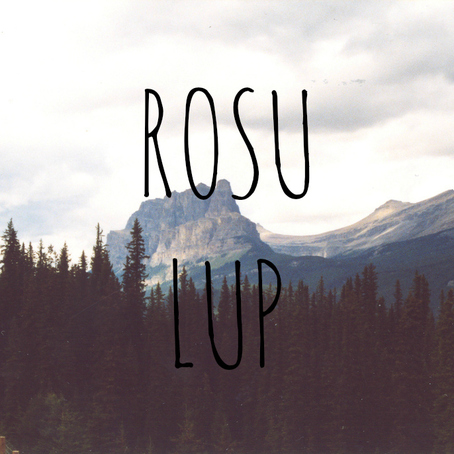 Rosu Lup — The Lounge at World Cafe Live, 2020-02-20