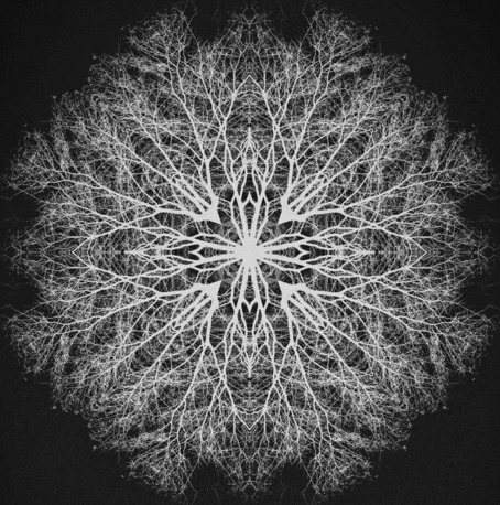InAeona — The Riot Room, 2012-06-09