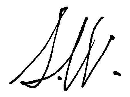 No Body — Trees, 2014-08-09