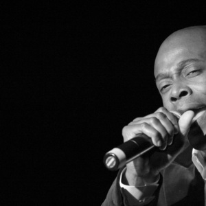 Kem live