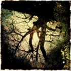 Special EFX featuring Chieli Minucci Concert Tickets - 2026 Tour Dates.