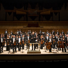 Royal Philharmonic Orchestra live