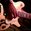 Lubriphonic Concert Tickets - 2026 Tour Dates