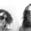 Martha Rose Concert Tickets - 2026 Tour Dates