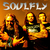 Soulfly live.