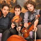 Royal Forest Concert Tickets - 2026 Tour Dates.