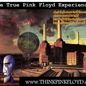 think floyd tour dates 2023