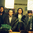 The Breezes