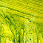 The Flu Concert Tickets - 2026 Tour Dates