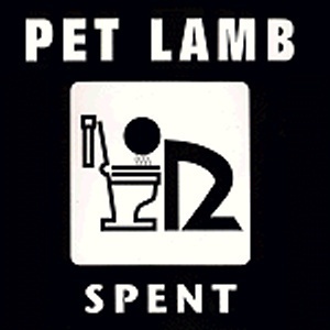 Pet Lamb Concert Tickets - 2026 Tour Dates