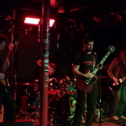 Rogue Male Concert Tickets - 2026 Tour Dates.