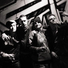 The Blue Bloods