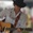 Matt Borrello Concert Tickets - 2026 Tour Dates