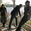 Hotels & Highways Concert Tickets - 2026 Tour Dates