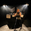 Gavlyn Concert Tickets - 2026 Tour Dates