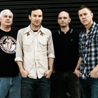 Toadies live