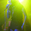 Mancini Concert Tickets - 2026 Tour Dates