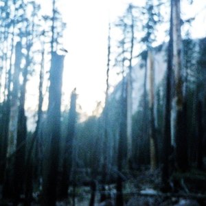 Hutch Concert Tickets - 2026 Tour Dates.