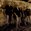 Mick Rhodes & the Hard Eight Concert Tickets - 2026 Tour Dates