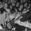 White Fang Concert Tickets - 2026 Tour Dates