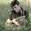 Alan Reed Concert Tickets - 2026 Tour Dates