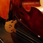 Danube Symphony Orchestra