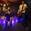 Bear Vs Manero Concert Tickets - 2026 Tour Dates