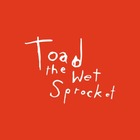Toad the Wet Sprocket live.