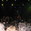 Libra Concert Tickets - 2026 Tour Dates
