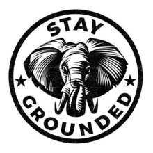 Stay Grounded live.
