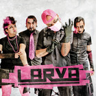 Larva Concert Tickets - 2026 Tour Dates
