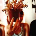 Varo Concert Tickets - 2026 Tour Dates