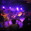 Sparky Concert Tickets - 2026 Tour Dates