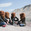 Bears & Company Concert Tickets - 2026 Tour Dates