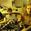 Shiloh Concert Tickets - 2026 Tour Dates