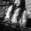 Lily Juniper Concert Tickets - 2026 Tour Dates