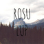 rosu lup