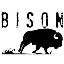 BISON (UK) Concert Tickets - 2026 Tour Dates.