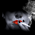 Frau Blücher and the drünken horses Concert Tickets - 2026 Tour Dates