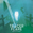 Tracer Flare Concert Tickets - 2026 Tour Dates