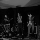 Primrose Concert Tickets - 2026 Tour Dates