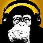 Max Pashm Concert Tickets - 2026 Tour Dates.