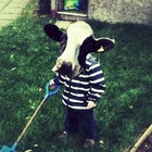 bovine boy Concert Tickets - 2026 Tour Dates