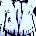 TheDMFE Concert Tickets - 2026 Tour Dates